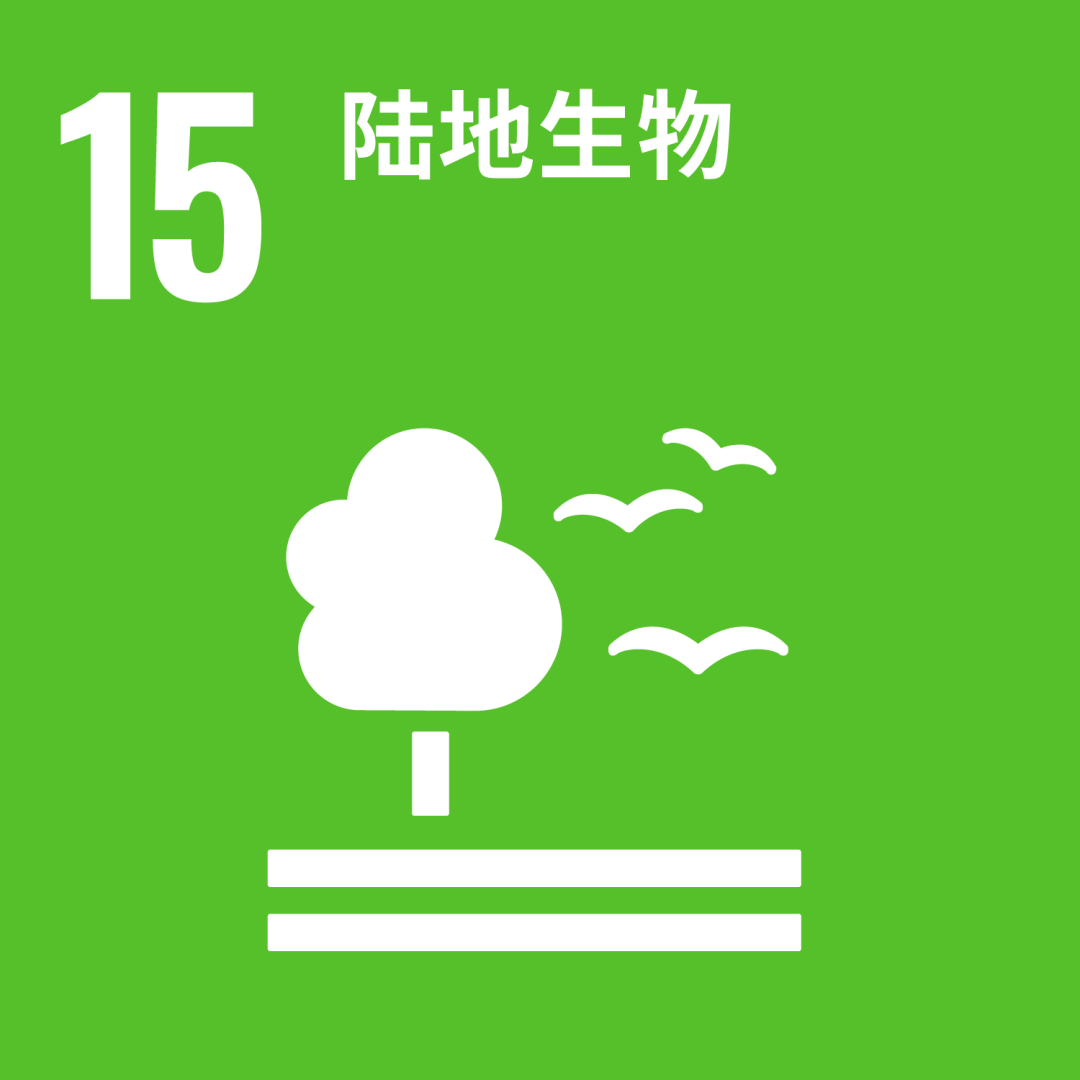 15logo.png