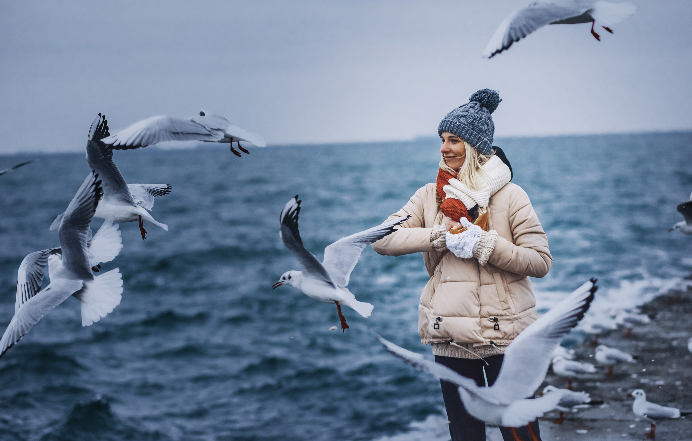 Student with seagulls.png