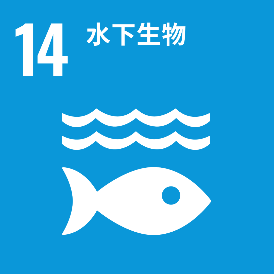 14logo.png